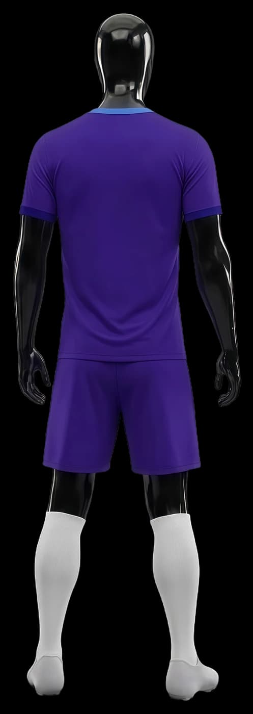 Purple and Gold kit, back